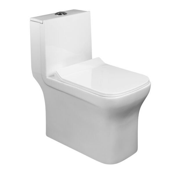 Vaso Sanitário Monobloco Branco Duplo Acionamento 3/6L Vertical Jaspe Pettra